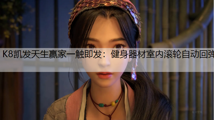 K8凯发天生赢家一触即发：健身器材室内滚轮自动回弹
