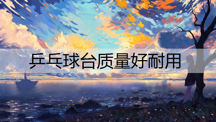 乒乓球台质量好耐用