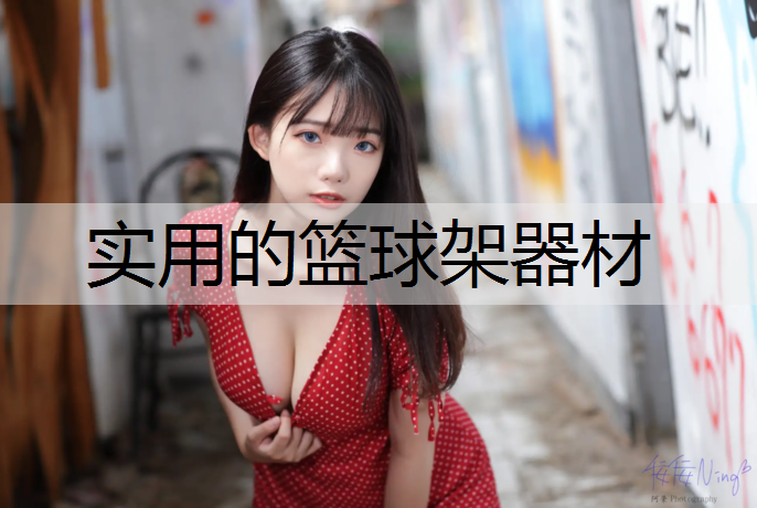 实用的篮球架器材