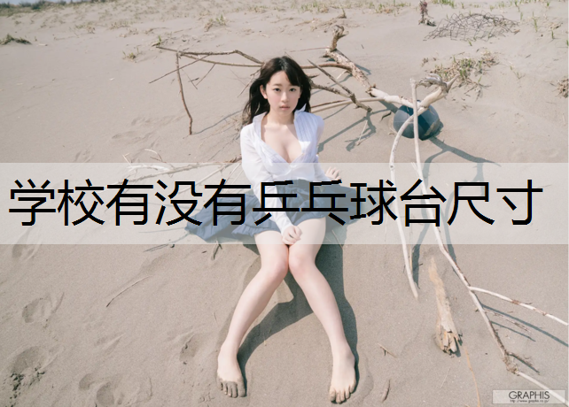 学校有没有乒乓球台尺寸