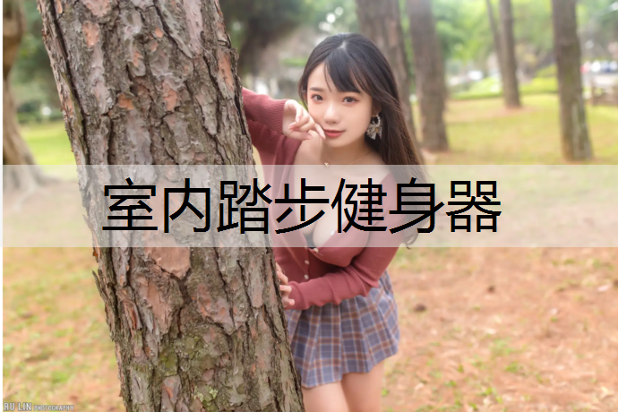 室内踏步健身器