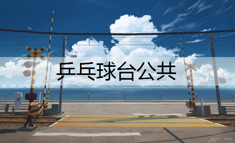 乒乓球台公共