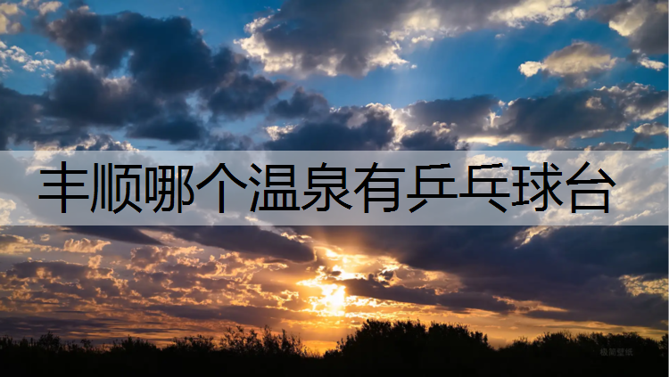 丰顺哪个温泉有乒乓球台