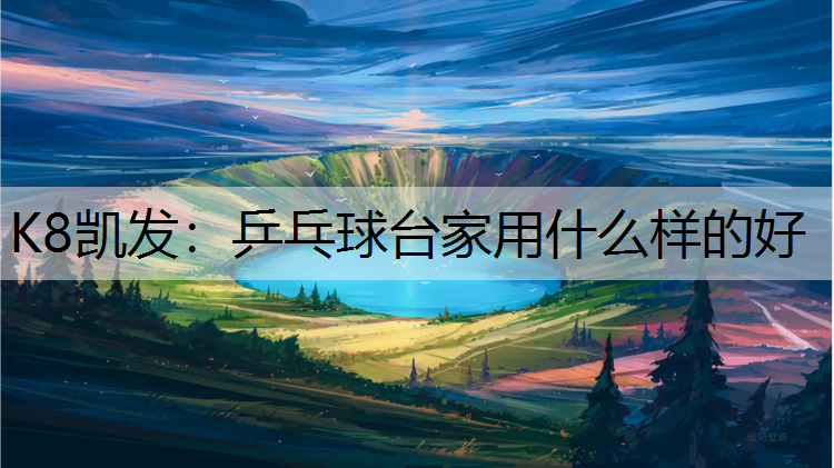 乒乓球台家用什么样的好