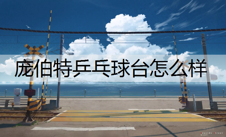 庞伯特乒乓球台怎么样