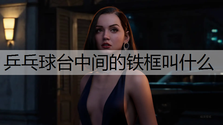 乒乓球台中间的铁框叫什么